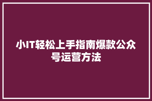 小IT轻松上手指南爆款公众号运营方法