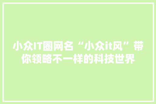 小众IT圈网名“小众it风”带你领略不一样的科技世界