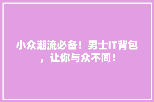 小众潮流必备！男士IT背包，让你与众不同！