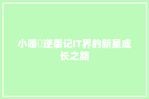 小喽啰逆袭记IT界的新星成长之路