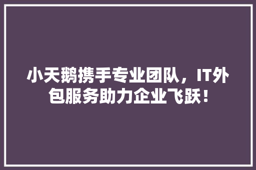 小天鹅携手专业团队，IT外包服务助力企业飞跃！