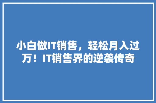 小白做IT销售，轻松月入过万！IT销售界的逆袭传奇