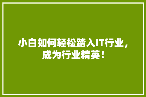 小白如何轻松踏入IT行业，成为行业精英！