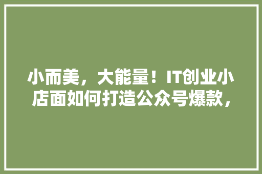 小而美，大能量！IT创业小店面如何打造公众号爆款，轻松吸粉百万！