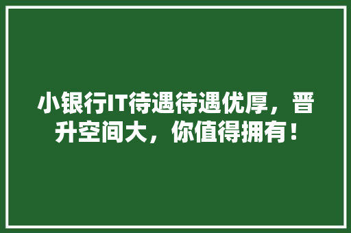 小银行IT待遇待遇优厚，晋升空间大，你值得拥有！