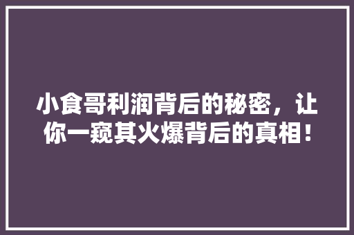 小食哥利润背后的秘密，让你一窥其火爆背后的真相！
