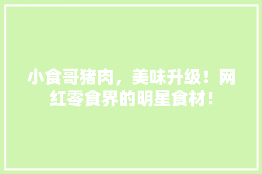小食哥猪肉，美味升级！网红零食界的明星食材！