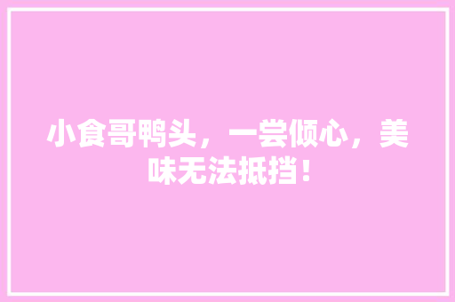 小食哥鸭头，一尝倾心，美味无法抵挡！ GoogleSEO