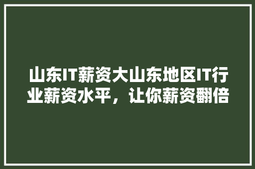 山东IT薪资大山东地区IT行业薪资水平，让你薪资翻倍！