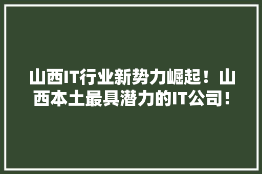 山西IT行业新势力崛起！山西本土最具潜力的IT公司！ 百度SEO