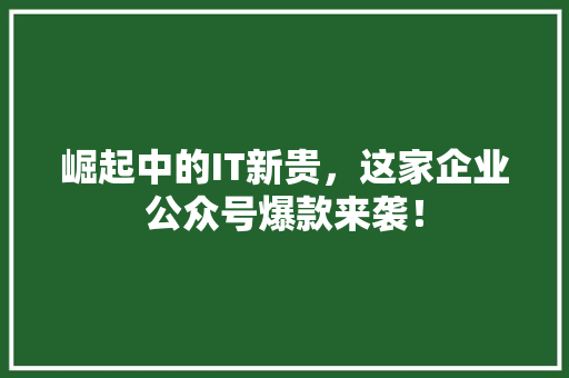 崛起中的IT新贵，这家企业公众号爆款来袭！