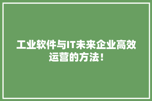 工业软件与IT未来企业高效运营的方法！