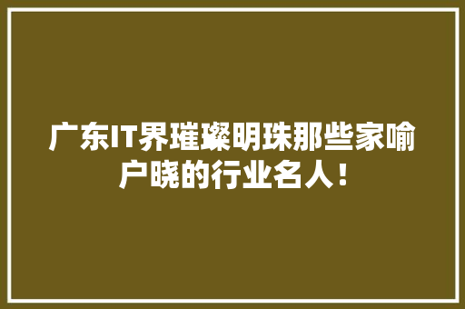 广东IT界璀璨明珠那些家喻户晓的行业名人！ 神马SEO