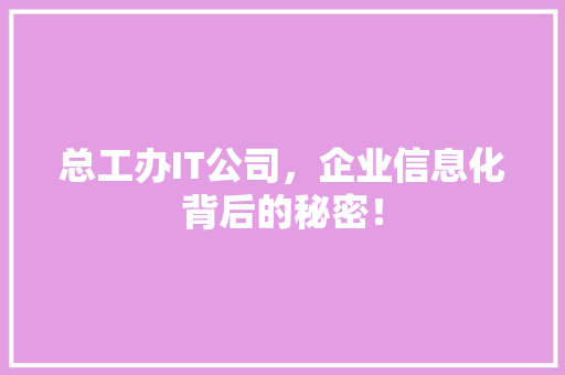 总工办IT公司，企业信息化背后的秘密！