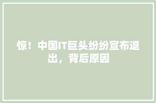 惊！中国IT巨头纷纷宣布退出，背后原因