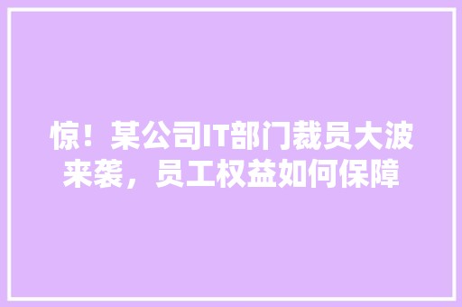 惊！某公司IT部门裁员大波来袭，员工权益如何保障