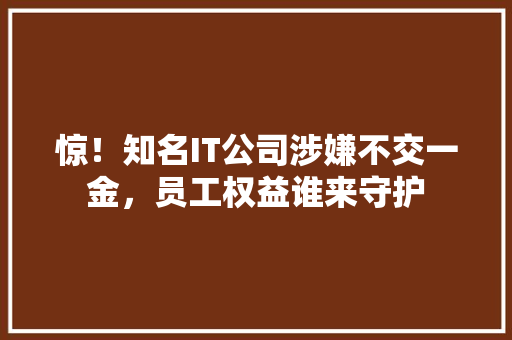 惊！知名IT公司涉嫌不交一金，员工权益谁来守护