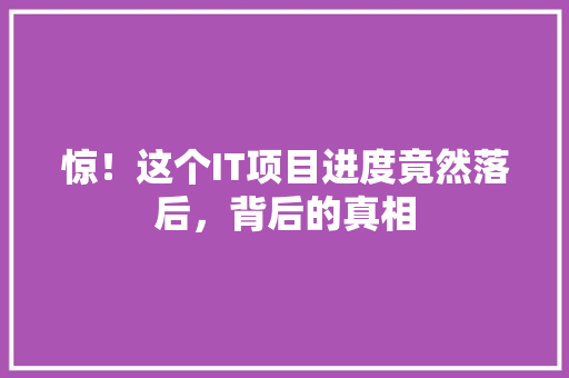 惊！这个IT项目进度竟然落后，背后的真相