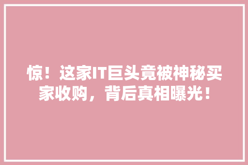惊！这家IT巨头竟被神秘买家收购，背后真相曝光！