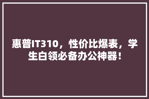 惠普IT310，性价比爆表，学生白领必备办公神器！