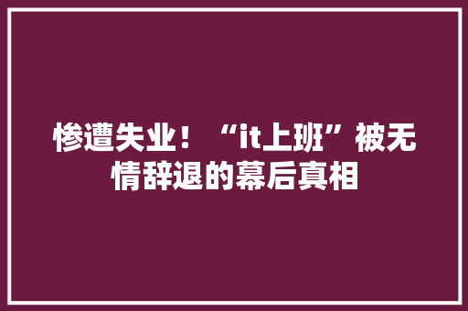 惨遭失业！“it上班”被无情辞退的幕后真相