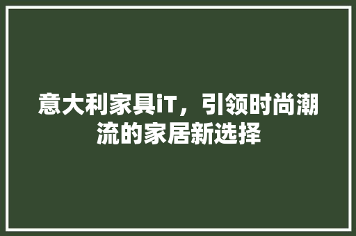 意大利家具iT，引领时尚潮流的家居新选择