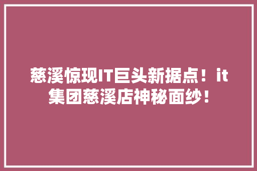 慈溪惊现IT巨头新据点！it集团慈溪店神秘面纱！ GoogleSEO