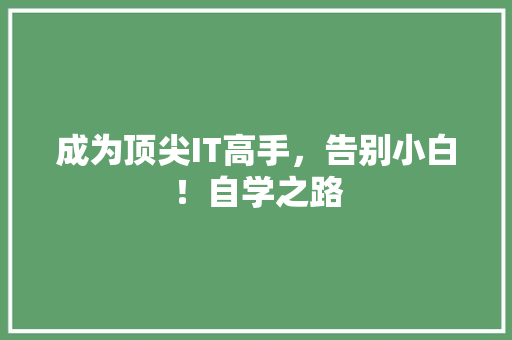 成为顶尖IT高手，告别小白！自学之路