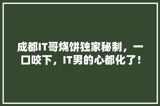 成都IT哥烧饼独家秘制，一口咬下，IT男的心都化了！