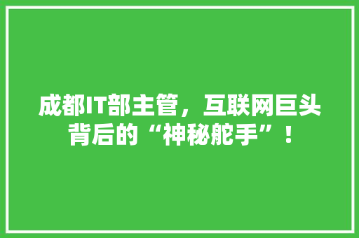 成都IT部主管，互联网巨头背后的“神秘舵手”！