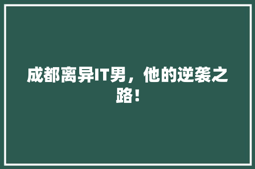 成都离异IT男，他的逆袭之路！