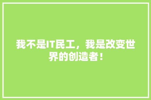 我不是IT民工，我是改变世界的创造者！