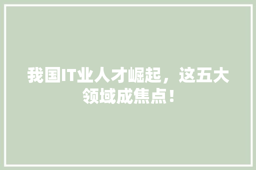我国IT业人才崛起，这五大领域成焦点！