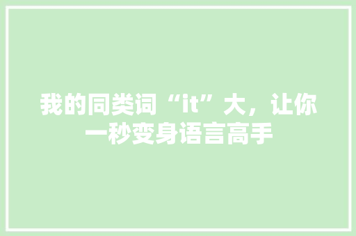 我的同类词“it”大，让你一秒变身语言高手