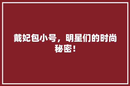 戴妃包小号，明星们的时尚秘密！