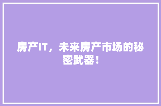 房产IT，未来房产市场的秘密武器！