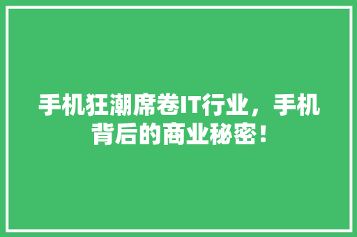 手机狂潮席卷IT行业，手机背后的商业秘密！