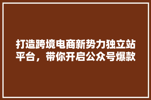 打造跨境电商新势力独立站平台，带你开启公众号爆款之旅