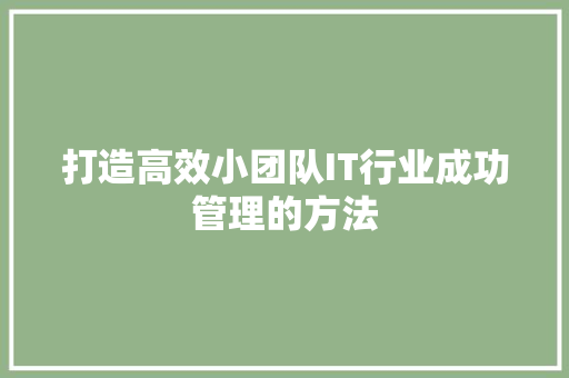 打造高效小团队IT行业成功管理的方法