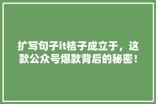 扩写句子it桔子成立于，这款公众号爆款背后的秘密！