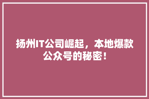 扬州IT公司崛起，本地爆款公众号的秘密！