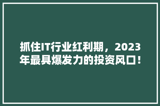 抓住IT行业红利期，2023年最具爆发力的投资风口！
