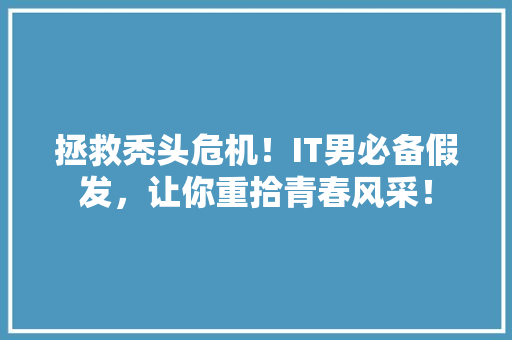 拯救秃头危机！IT男必备假发，让你重拾青春风采！