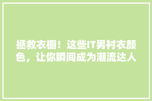 拯救衣橱！这些IT男衬衣颜色，让你瞬间成为潮流达人！ 百度SEO