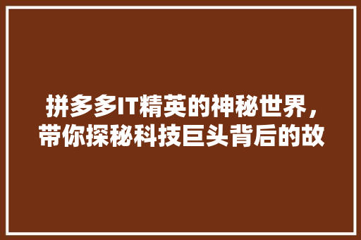 拼多多IT精英的神秘世界，带你探秘科技巨头背后的故事！