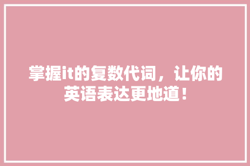 掌握it的复数代词，让你的英语表达更地道！