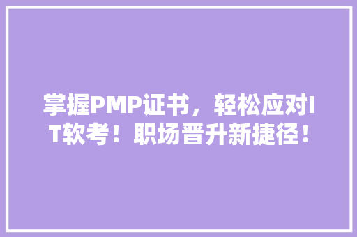 掌握PMP证书，轻松应对IT软考！职场晋升新捷径！