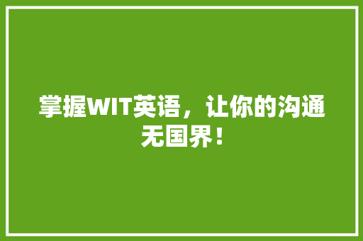 掌握WIT英语，让你的沟通无国界！