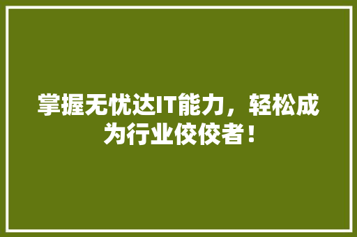 掌握无忧达IT能力，轻松成为行业佼佼者！