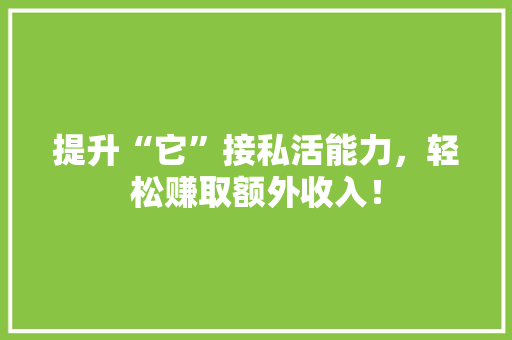 提升“它”接私活能力，轻松赚取额外收入！